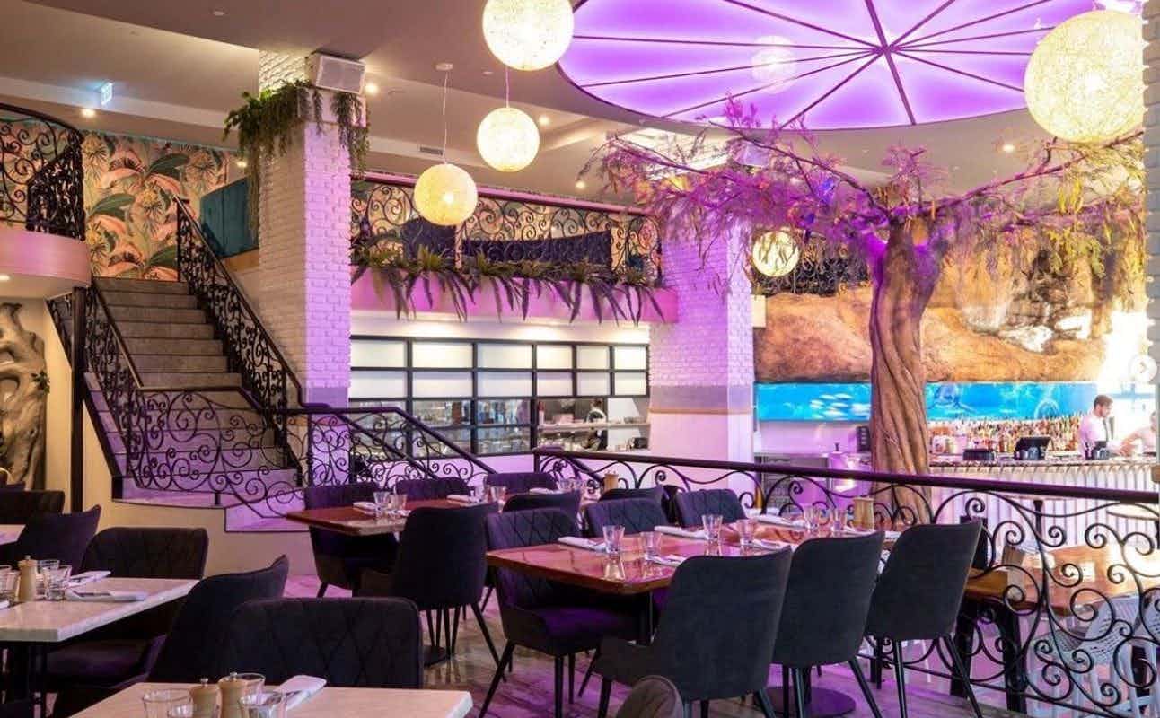 Enjoy Australian, Vegetarian options, Gluten Free Options, Restaurant, Cocktail Bar, Late night, Indoor & Outdoor Seating, Street Parking, $$$, Live music, Groups and Bar Scene cuisine at White Rhino Bar & Eats in Surfers Paradise, Gold Coast
