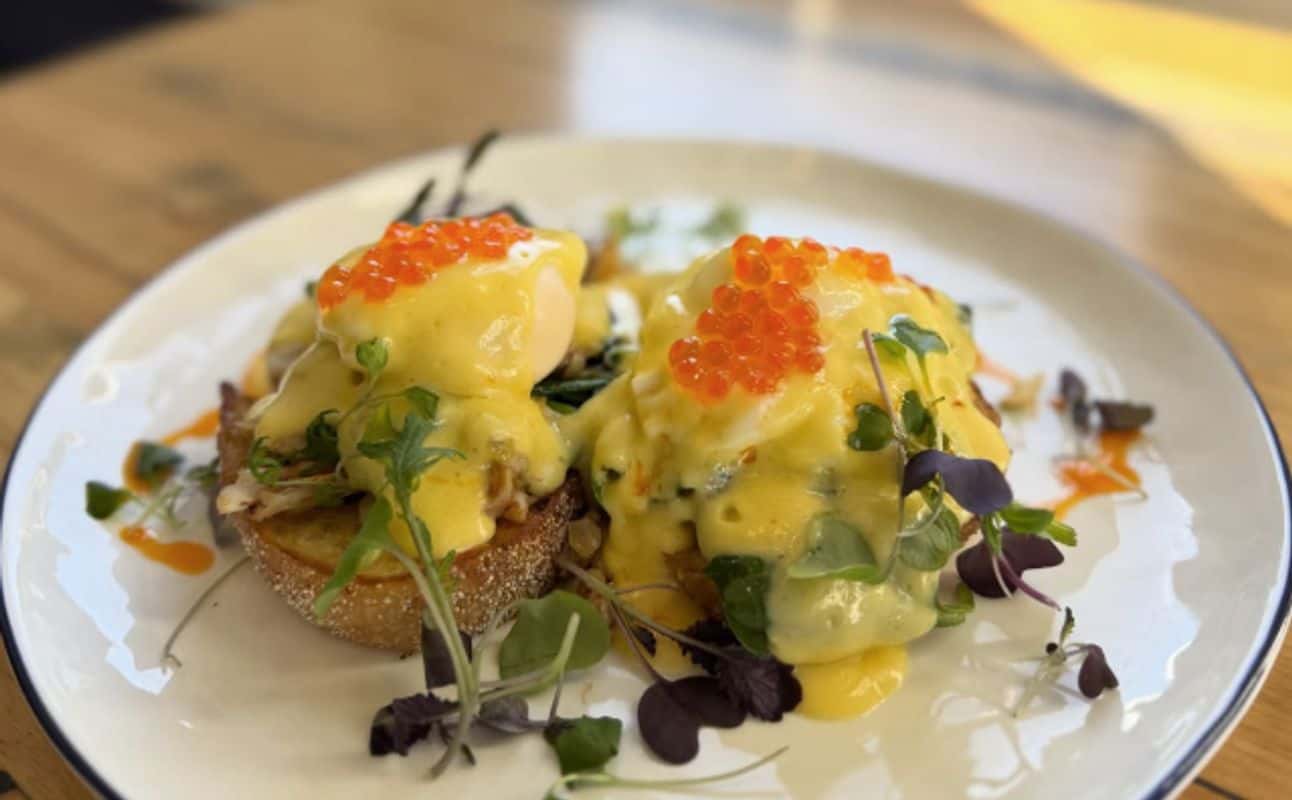 Enjoy Australian, Restaurant, Indoor & outdoor seating, Child friendly, $$$, Groups and Families cuisine at BRINE Bistro in Albert Park, Melbourne