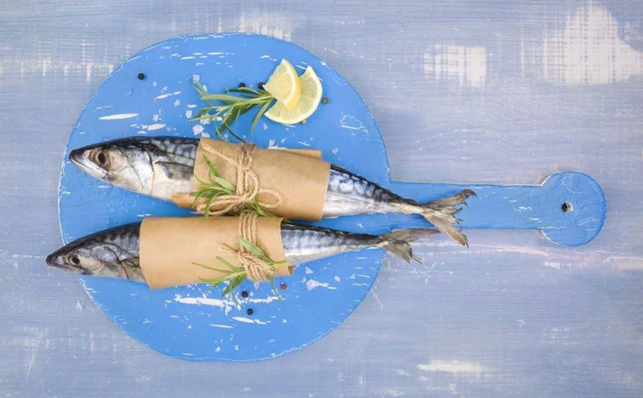 Enjoy Mediterranean, Seafood and Small plates cuisine at Urbanista in Woolloomooloo, Sydney