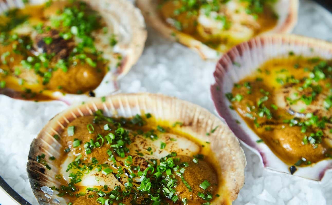 Enjoy Spanish, Vegetarian options, Bars & pubs, Late night, $$, Wine bar, Bar scene, Groups, Live music, Date night and Hidden gems cuisine at Alcatraz in Annandale, Sydney