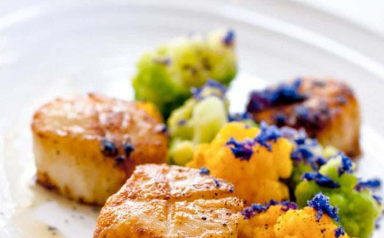 Enjoy Seafood, Australian, Grill & barbeque, Restaurant, Table service, Indoor & outdoor seating, $$$ and Families cuisine at Anchor & Ale in North Shore Suburbs, Sydney