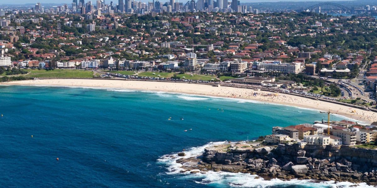 Bondi's best bites
