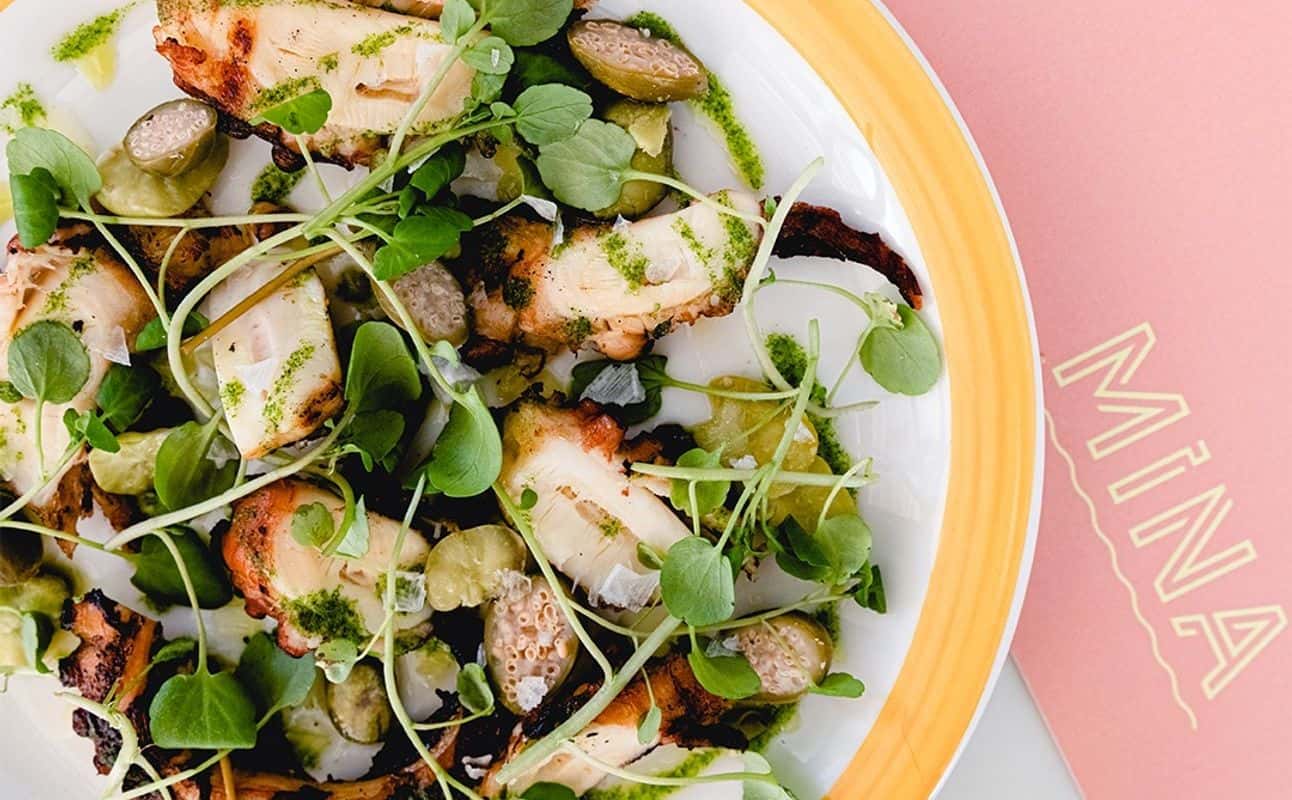 Enjoy Italian cuisine at Mina Italian in Bulimba, Brisbane