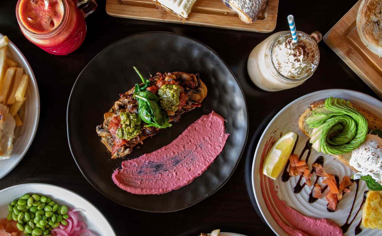 Enjoy Australian, Vegetarian options, Vegan options, Gluten Free options, Cafe, Dog friendly, Highchairs available, Indoor & outdoor seating, Street parking, $$, Families and Groups cuisine at Tree House Cafe & Bar in Mount Tamborine, Gold Coast