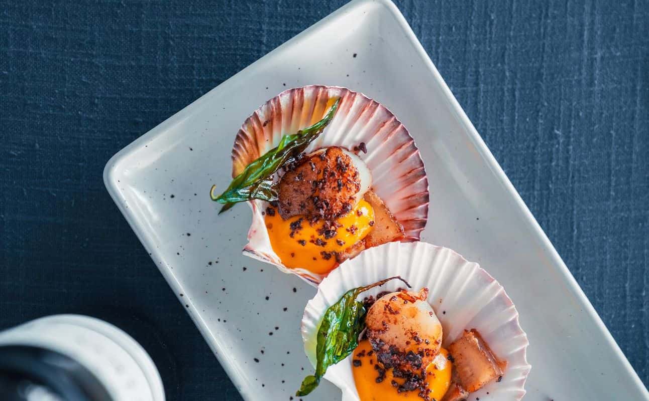 Enjoy Mediterranean, Gluten Free options, Vegan options, Vegetarian options, Restaurant, Indoor & outdoor seating, Highchairs available, Wheelchair accessible, Table service, $$$$, Families and Groups cuisine at Piato in Cairns City Centre, Cairns