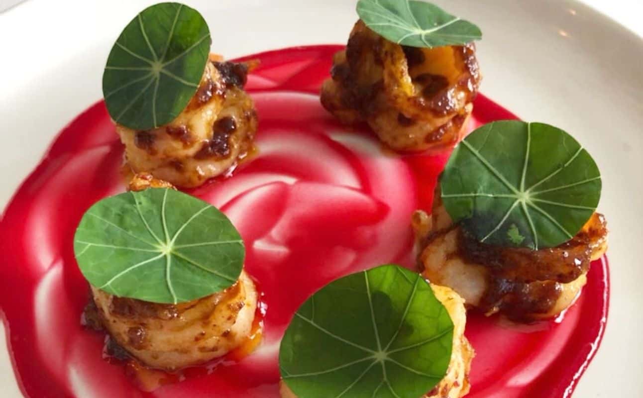 Enjoy Middle Eastern, Vegan options, Vegetarian options, Gluten Free options, Restaurant, $$$, Families, Groups, Date night, Business meetings, Special occasion and Hidden gems cuisine at Coya in St Leonards, Sydney