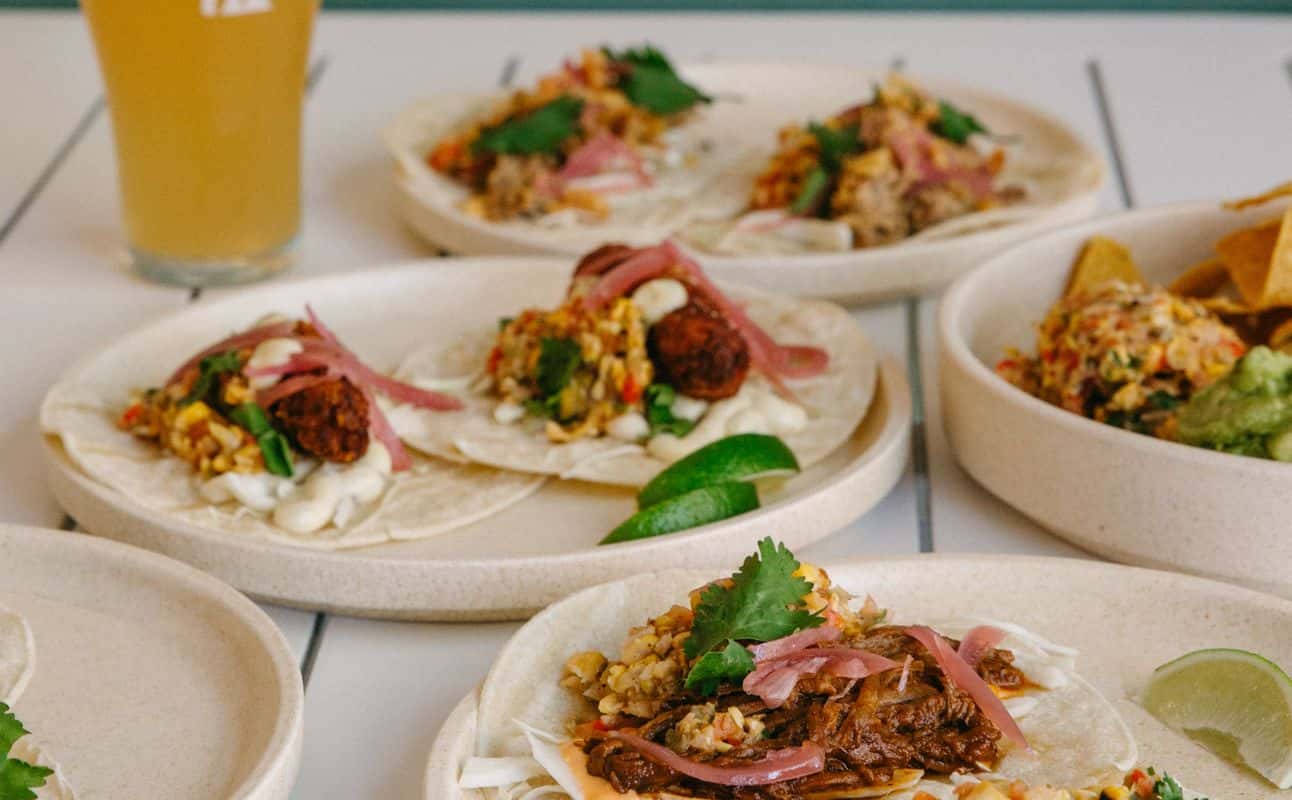 Enjoy Australian, $$$ and Craft beer cuisine at Freshwater Brewing Co in Brookvale, Sydney