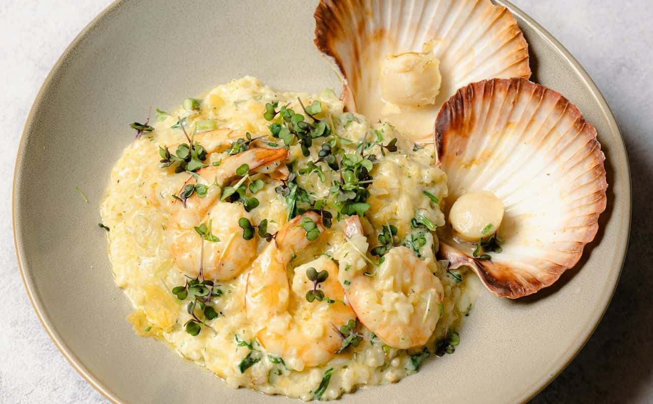 Enjoy Seafood, Australian, Vegetarian options, Vegan options, Gluten Free options, Restaurant, Indoor & outdoor seating, Highchairs available, Wheelchair accessible, $$$$, Families and Groups cuisine at Splash Seafood Restaurant in Cairns City Centre, Cairns
