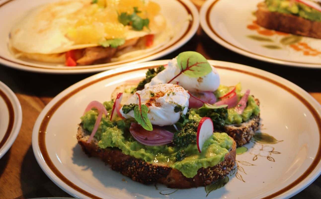 Enjoy Cafe, Spanish, Latin American, Dairy free options, Gluten Free options, Vegan options, Cafe, Indoor & outdoor seating, Free wifi, Dog friendly, $$, Families and Groups cuisine at Salud Cafe in Auchenflower, Brisbane