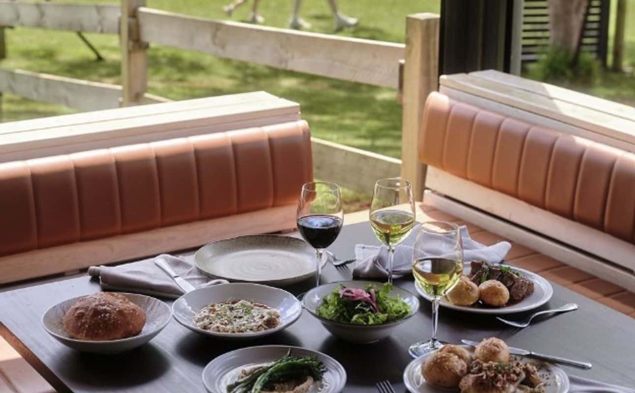 Enjoy Australian, Vegetarian options, Vegan options, Gluten Free options, Restaurant, Indoor & outdoor seating, Table service, $$$$, Groups and Local cuisine cuisine at Farm & Co Restaurant in Kingscliff, Byron Bay and Northern NSW