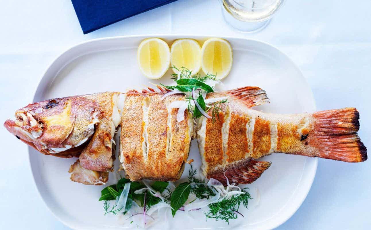 Enjoy Seafood cuisine at Manta in Woolloomooloo, Sydney